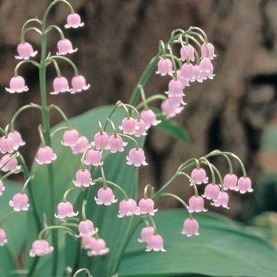 ka_l_l_ie's profile picture. 23