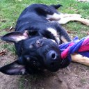 Glenn Kidd - @glennkidd - Twitter