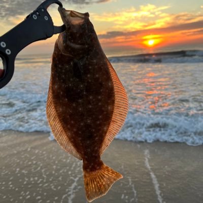 茨城の海で釣りしてます