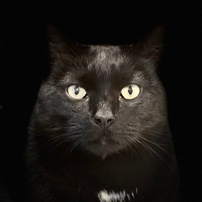 Husband, dad, staff to two cats, retired FDIC enterprise architect