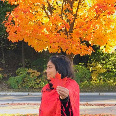 sunitakunwar051's profile picture. #Electronics_and_communication_Engineer