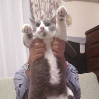 Yaza25 (@yaza253) Twitter profile photo