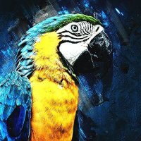 Professor Macaw (@joshyou40047443) 's Twitter Profile