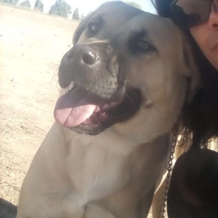 Bella30915328's profile picture. 