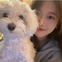 くまこ🧸 (@ivl9t) Twitter profile photo