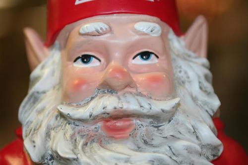 Hello! I am Jerome, Miami's one and only gnome. Follow my adventures as experience Miami as a first year gnome and working at MU Bookstore. Can you find me?