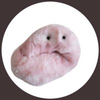 もんちゃん (@monn_________j) 's Twitter Profile