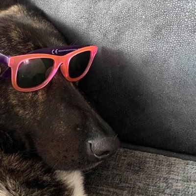 LucyGarrard5's profile picture. Mum and Mental Health NHS employee. I love my family and my job- ProEU #SaveOurNHS