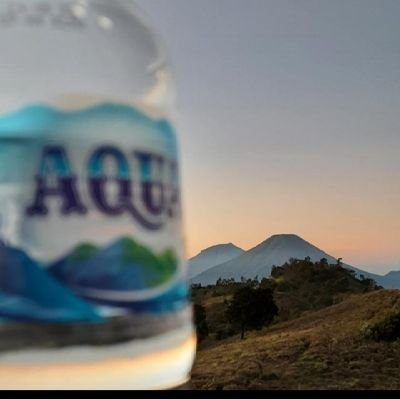 utami_itu_uut's profile picture. survivor