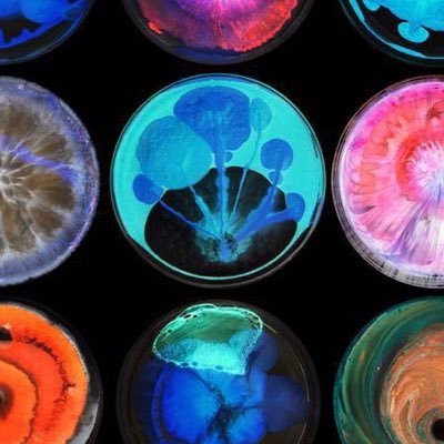 14sigarette_'s profile picture. 