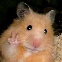 安迪 (@andywu43407310) 's Twitter Profile