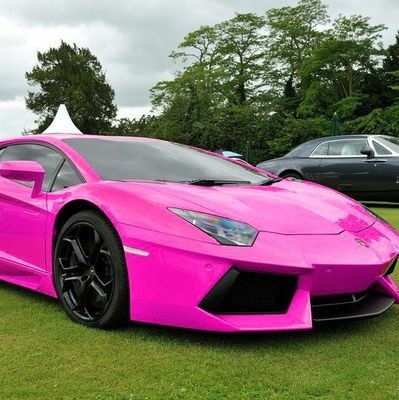 LinhMon4818's profile picture. Lord of Meme