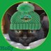 Holly ๐พ๐ฉ๐ (@hollypanfur) Twitter profile photo Holly ๐พ๐ฉ๐ (@hollypanfur) Twitter profile photo