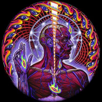 desensitized131's profile picture.