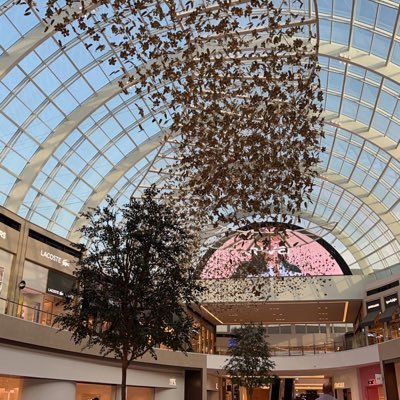 rn_meshal's profile picture. SUPERVISOR