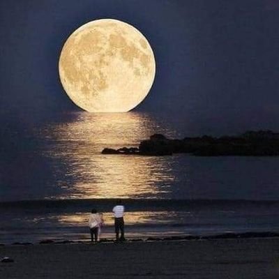 EllenPajarillo's profile picture. 