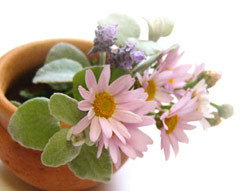 maru14637's profile picture. 料理と短歌、手芸など。
　