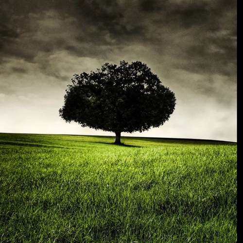 khmermann's profile picture. 