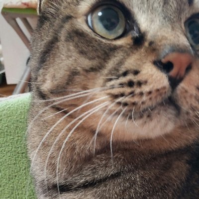 成人済みの腐りきったヨボヨボのヨホホ。社畜の会社内引きこもりが壁打ちしてます。主人公右固定勢。ルフィ👒坂道くん🤓東リベは🎍が大好き。雑多につぶやきます。