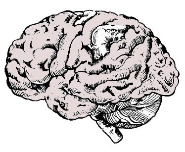 Grey Matter
