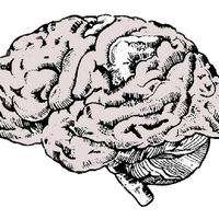 Grey Matter (@outofmemind) 's Twitter Profile Photo