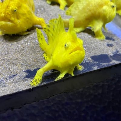 wooom_08's profile picture. 勉強苦手だけど資格勉強頑張り中。建築、不動産資格中心📖 競馬、競輪も最近始めました🐴🚲