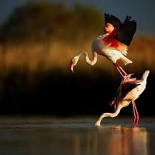 abde_ji's profile picture. Mama  files we make all type of  file folders 📂  box  files  magazine  box 🗃