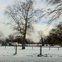 dexter howell - @HowellDexter - Twitter