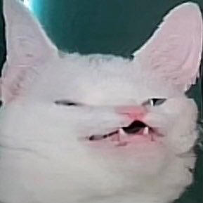 _____skrkhb's profile picture. 取り急ぎで作りました