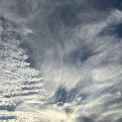 nicenakata2's profile picture. 