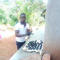 Fred Businge Bruce (@bfb_fred) 's Twitter Profile