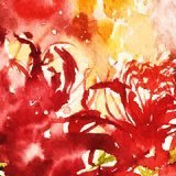 ワラベ ❊ (@wrb_dy) 's Twitter Profile Photo