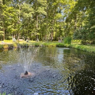 MaryAnn12118635's profile picture. Mother, Grandmother, Greatgrandmother, Married to a Vietnam Combat Veteran,🇺🇸🇮🇹