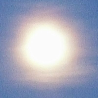 biljede's profile picture. moderate