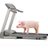 DietBacon's profile image