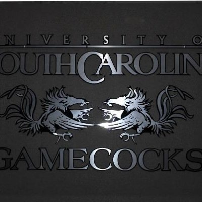 LRGamecock Profile Picture