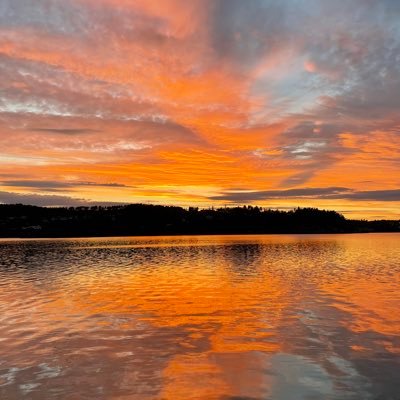 i9868223's profile picture. ;)))