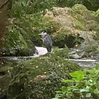 An Irish lad from County Down, Ireland. My passions are Gaeilge, Art, History, Culture, Hiking in the Mournes and protecting the environment.