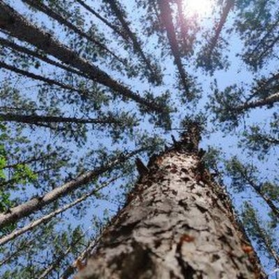 Kevnmi's profile picture. 