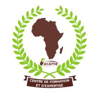 CFEA-Centre de Formation et d'Expertise de l'ACAME (@cfeainstitute) 's Twitter Profile