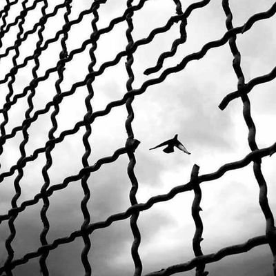 Alijkz's profile picture. جوان ولی خسته 
دندون و حومه