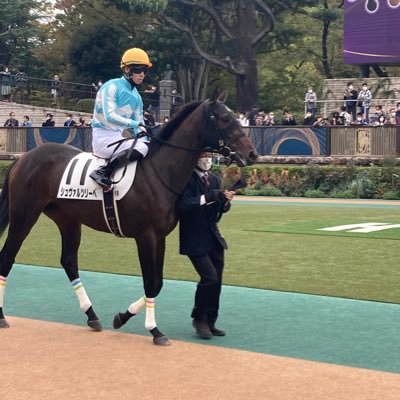 ノルマンディーOC会員 🏇 現役出資馬→シュヴァルツリーベ、インオービット、ミシェット、アレスエルピーダ、クルシファー、マンダレーヒル、フェデルミエール