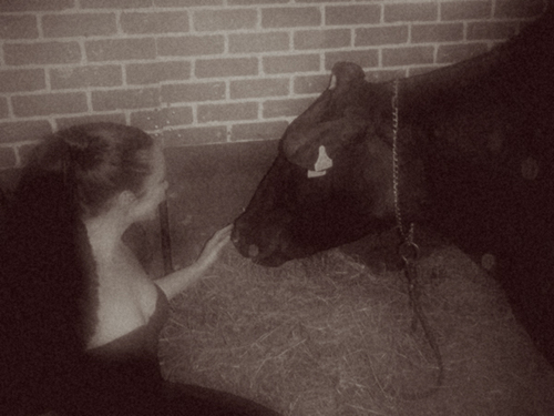 Cows are life. Calf whisperer. Biology undergrad, chem post-grad. Swimming in the lake (Huron), is 2nd best to cows. Cat lady (3). Heart attack survivor at 38.