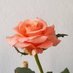 Nigar Zaidi Bilgrami (@ntarunnum) Twitter profile photo Nigar Zaidi Bilgrami (@ntarunnum) Twitter profile photo