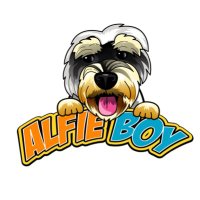 Alfie Boy(@AlfieBoyCo) 's Twitter Profile Photo