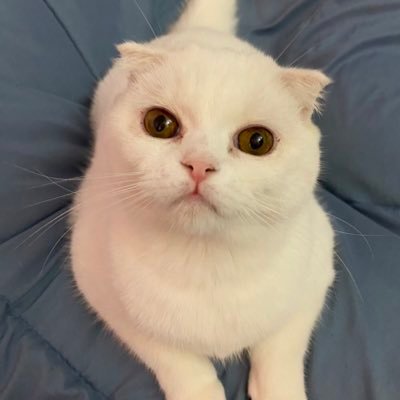 ko41_miki's profile picture. 