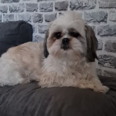 Crafter2712's profile picture. 