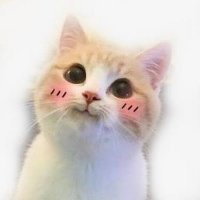 Elham Yama-ae (@hjk_56) 's Twitter Profile