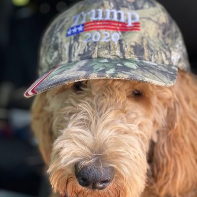 Just a farm boy from Eastern NE. Remember learning about our founding fathers and understanding how special it is to be born in the great country on Earth.