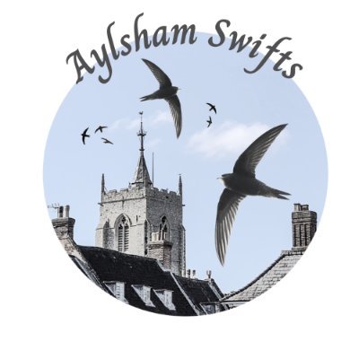 Locating swift nest sites. Giving guidance on nest boxes/bricks.  
Let’s keep #Aylsham's #swifts coming back! Account managed by @TracyBrighten1 #SaveOurSwifts